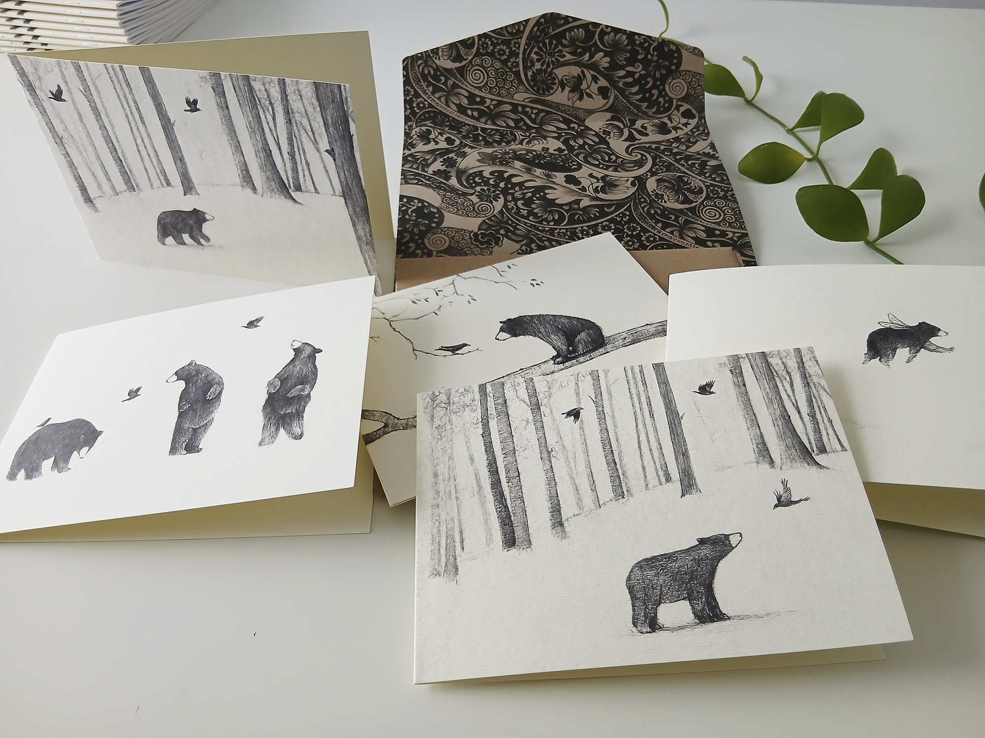 Cards - Set of Five Bear Cards