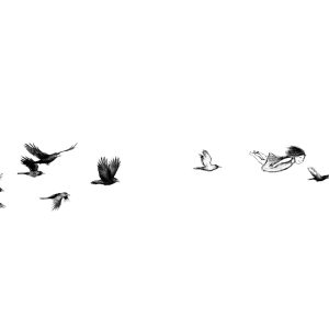 Sale Print - Florence Flies Away