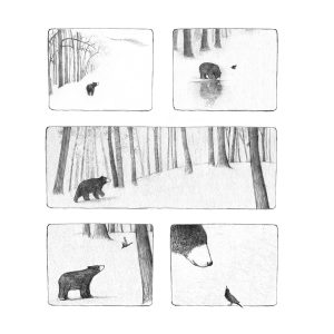 Sale Print - Bear Storyboard