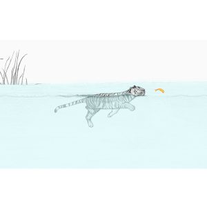 Sale Print - Swimming Tiger