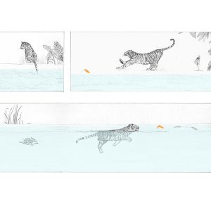 Sale Print - Tiger Storyboard